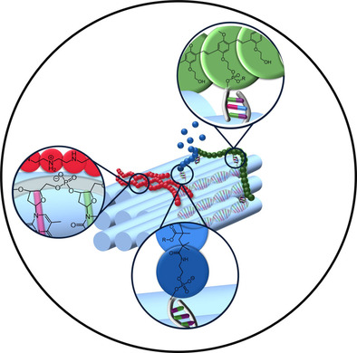 Kombination von DNA-Origami und Polymeren: Eine leistungsstarke Methode zum Aufbau definierter Nanostrukturen