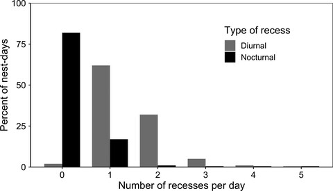 Nocturnal incubation recess and flushing behavior by duck hens