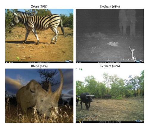Details are in the caption following the image Details are in the caption following the image