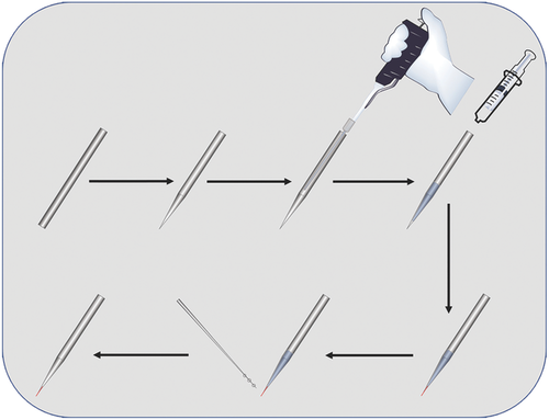 Details are in the caption following the image Details are in the caption following the image