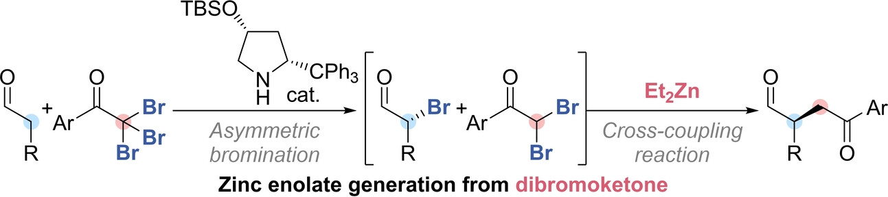 Diethylzinc-Mediated Cross-Coupling Reactions between Dibromoketones and Monobromo Carbonyl Compounds