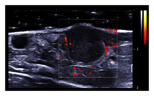 Details are in the caption following the image Details are in the caption following the image