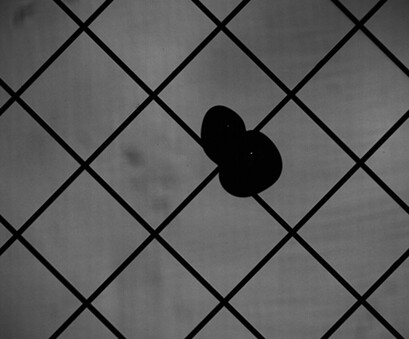 Genauigkeit der Bestimmung von Blasengrößen aus Messdaten eines Leitfähigkeits-Gittersensors
Accuracy of Conductivity Wire-Mesh Sensor in Dependence of Bubble Size