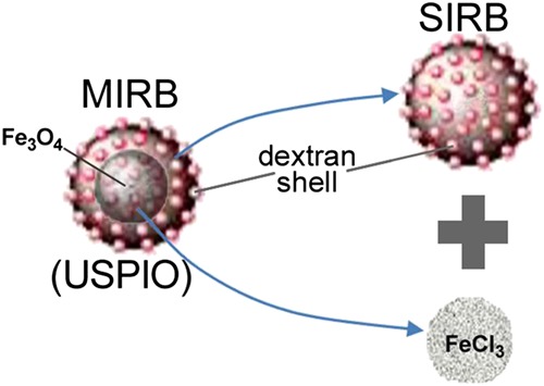 SIRB, sans iron oxide rhodamine B, a novel cross-linked dextran nanoparticle, labels human neuroprogenitor and SH-SY5Y neuroblastoma cells and serves as a USPIO cell labeling control