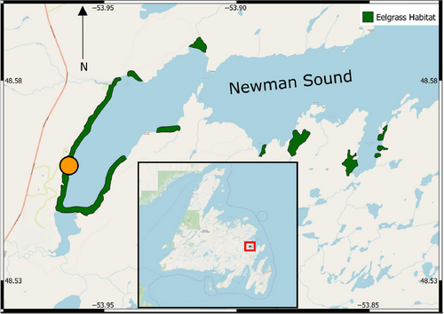 Details are in the caption following the image