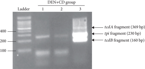 Details are in the caption following the image