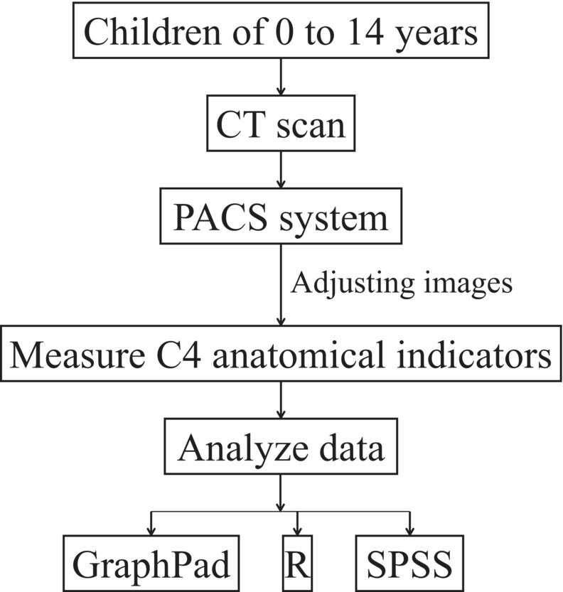 CT Anatomical Analysis of C4 Pedicle and Lateral Mass in Children Aged 0–14 in Southern China