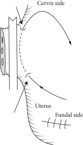 Details are in the caption following the image Details are in the caption following the image