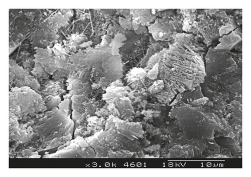 Details are in the caption following the image