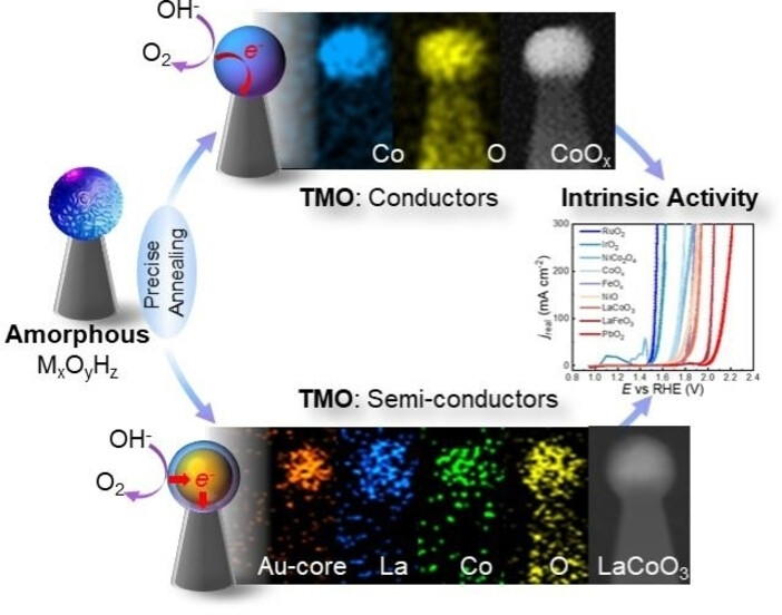 Benchmarking the Intrinsic Activity of Transition Metal Oxides for the Oxygen Evolution Reaction with Advanced Nanoelectrodes