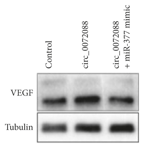 Details are in the caption following the image