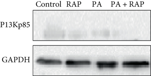 Details are in the caption following the image