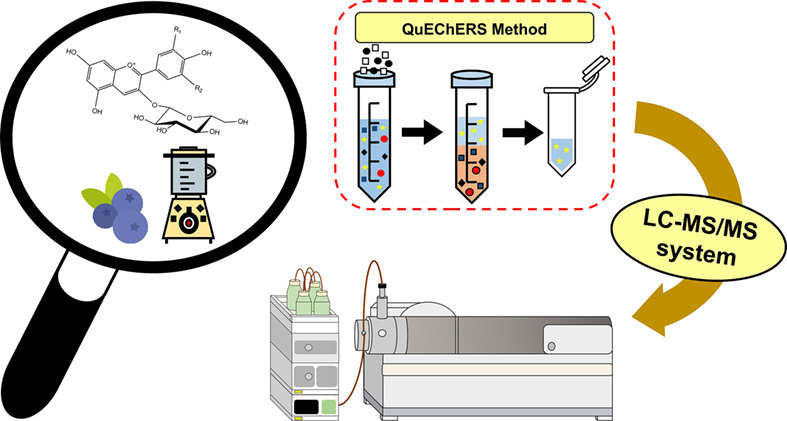Quantification of anthocyanins in blueberries (Vaccinium spp.) by modified QuEChERS and liquid chromatography-mass spectrometry