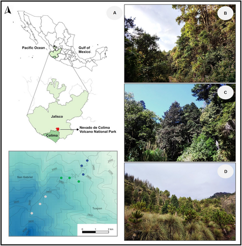 Details are in the caption following the image Details are in the caption following the image