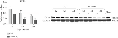 Details are in the caption following the image