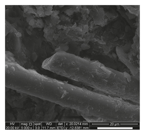 Details are in the caption following the image