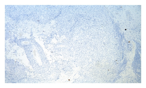 Details are in the caption following the image
