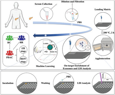 Accelerated Exosomal Metabolic Profiling Enabled by Robust On-Target Array Sintering with Metal–Organic Frameworks