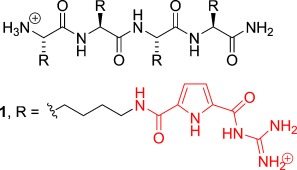 A Tailor-Made Specific Anion-Binding Motif in the Side Chain Transforms a Tetrapeptide into an Efficient Vector for Gene Delivery
