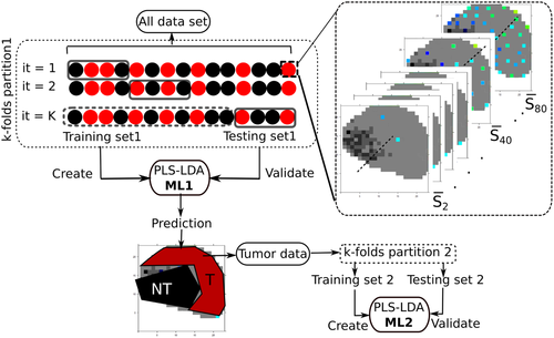 Details are in the caption following the image