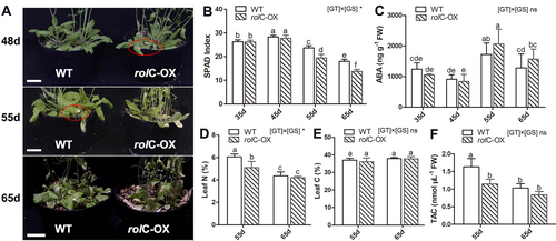 Details are in the caption following the image Details are in the caption following the image