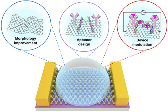 Overcome Debye Length Limitations for Biomolecule Sensing Based on Field Effective Transistors†