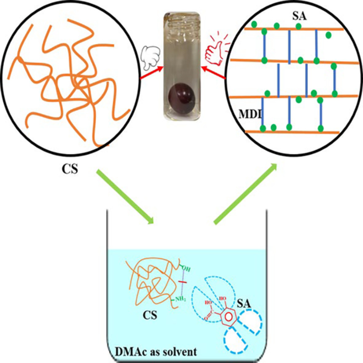 Hydrophobic chitosan/salicylic acid blends film with excellent tensile properties for degradable food packaging plastic materials
