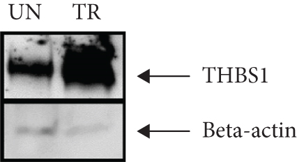 Details are in the caption following the image