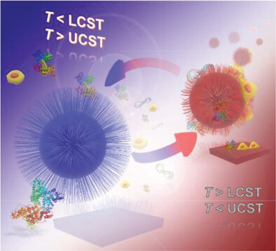 Modulating Protein Corona and Materials–Cell Interactions with Temperature-Responsive Materials