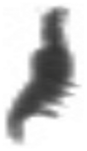 Details are in the caption following the image