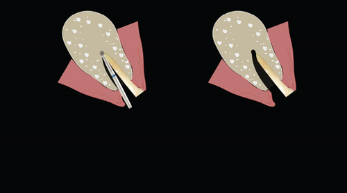 Details are in the caption following the image Details are in the caption following the image