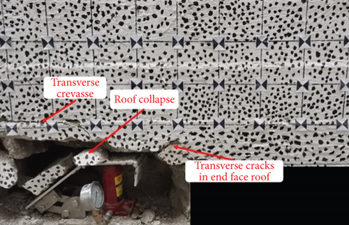 Details are in the caption following the image Details are in the caption following the image