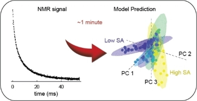 Multivariate Machine Learning Models of Nanoscale Porosity from Ultrafast NMR Relaxometry