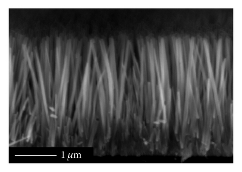 Details are in the caption following the image