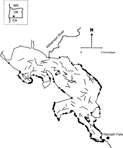 Details are in the caption following the image