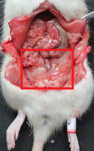 Details are in the caption following the image Details are in the caption following the image