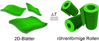 Reversible Scrolling of Two-Dimensional Sheets from the Self-Assembly of Laterally Grafted Amphiphilic Rods