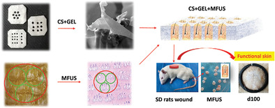 Chitosan/Gelatin Composite Nonwoven Fabric Scaffold Seeding Minimal Function Unit of Skin for Functional Skin Regeneration