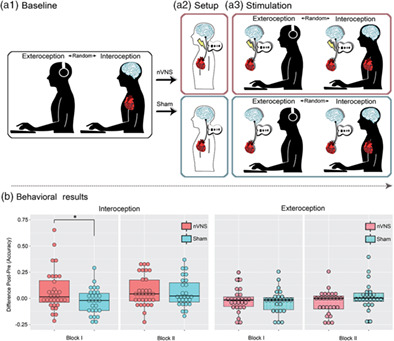 Behavioral and neurophysiological signatures of interoceptive enhancements following vagus nerve stimulation