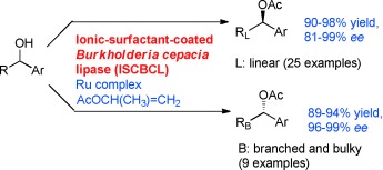 Ionic-Surfactant-Coated Burkholderia cepacia Lipase as a Highly Active and Enantioselective Catalyst for the Dynamic Kinetic Resolution of Secondary Alcohols