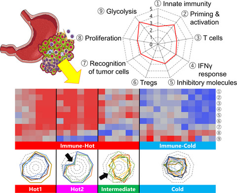 Integrative immunogenomic analysis of gastric cancer dictates novel immunological classification and the functional status of tumor-infiltrating cells