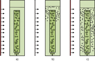 Process Engineering Aspects of Vertical Column Photobioreactors for Mass Production of Microalgae