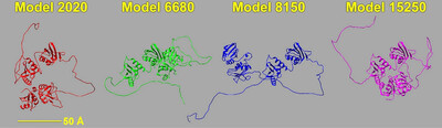 AlphaFold-predicted protein structures and small-angle X-ray scattering: insights from an extended examination of selected data in the Small-Angle Scattering Biological Data Bank