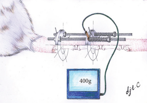 Details are in the caption following the image Details are in the caption following the image