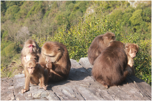 Details are in the caption following the image Details are in the caption following the image