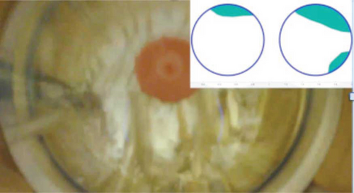 Details are in the caption following the image Details are in the caption following the image