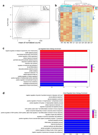 Tumor-educated leukocytes mRNA as a diagnostic biomarker for non-small cell lung cancer