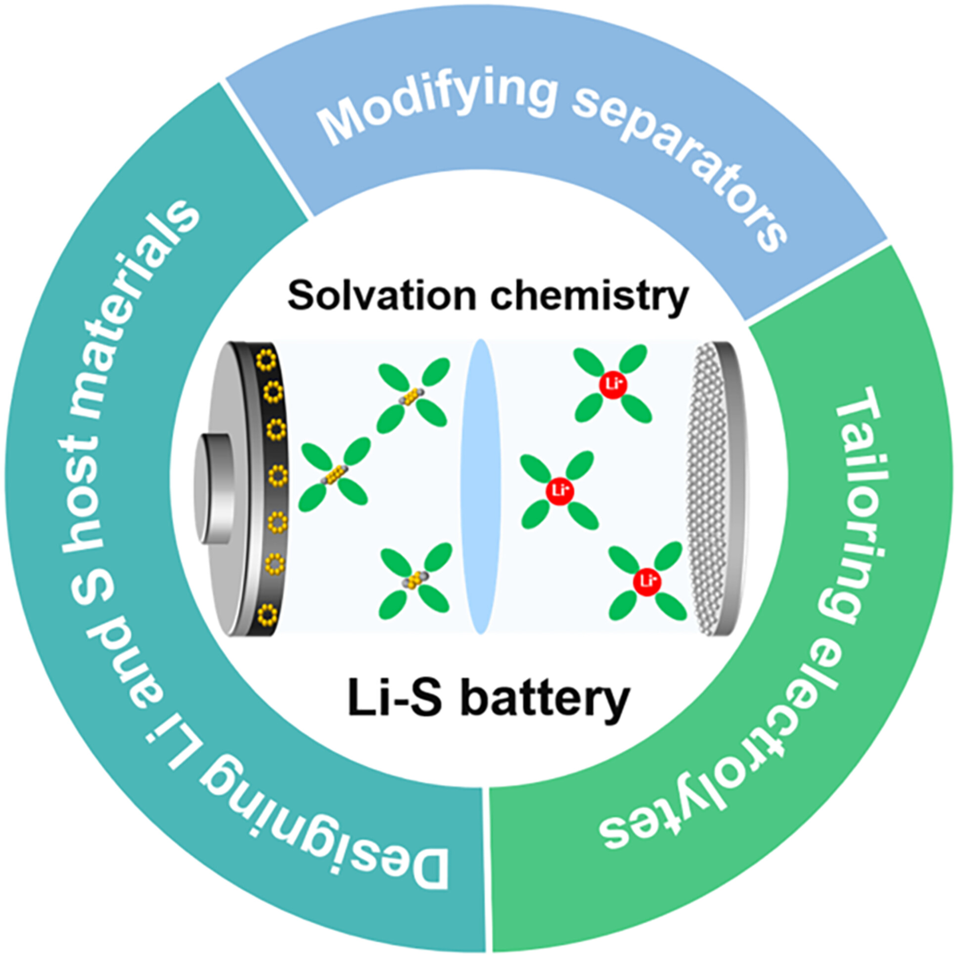 Lithium Sulfur Batteries: Insights from Solvation Chemistry to Feasibility Designing Strategies for Practical Applications
