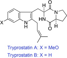 Total Synthesis of Tryprostatins A and B