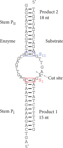 Details are in the caption following the image